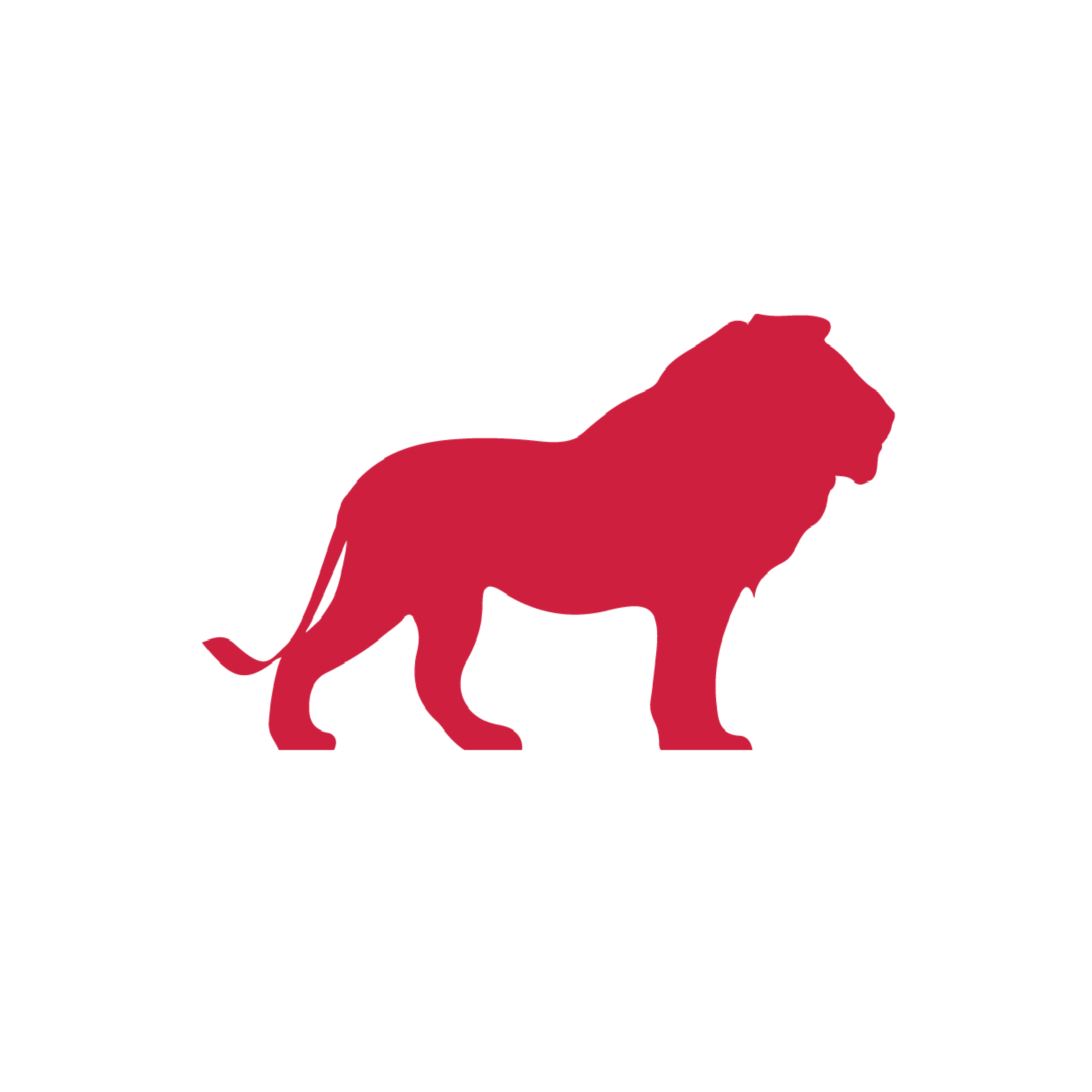 Lion Watermark Logo