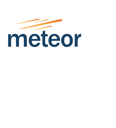 LHS Meteor Logo (1)